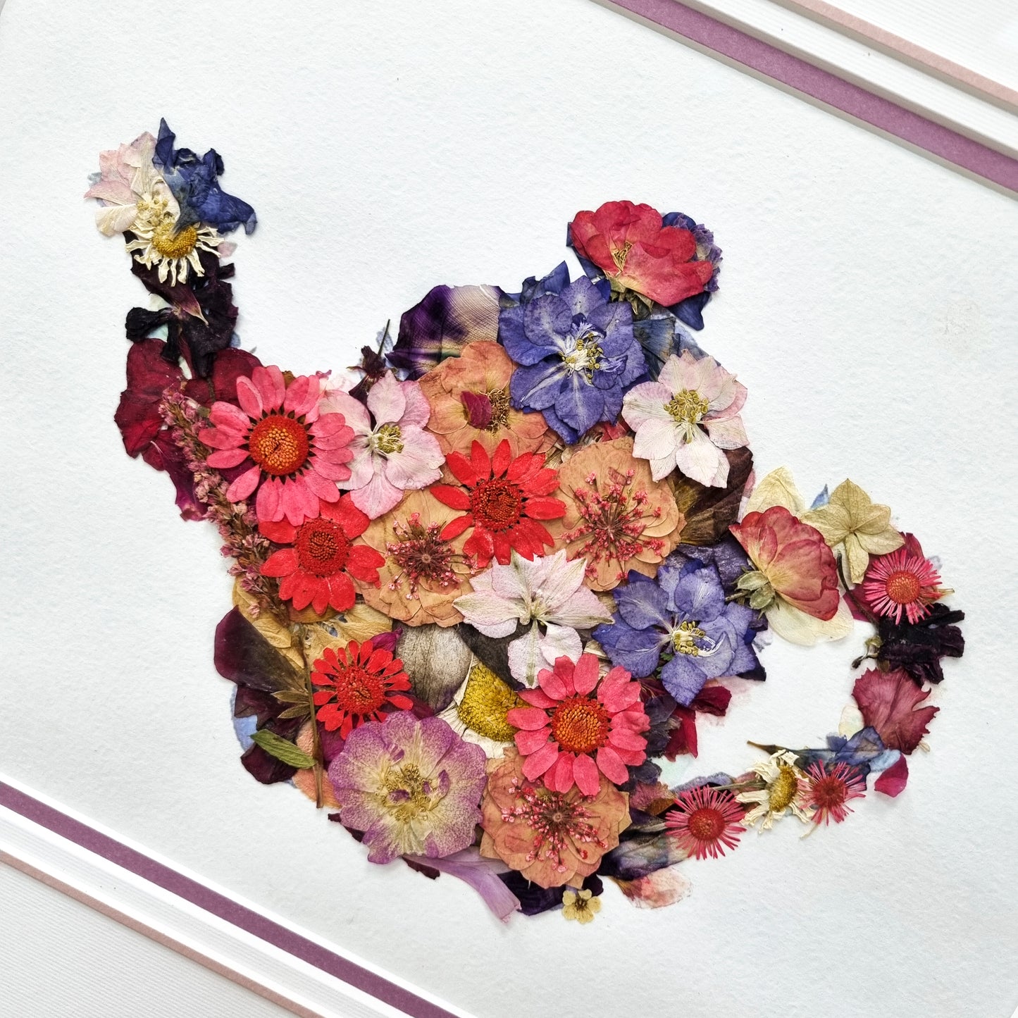 Irina Goldina, Floristică