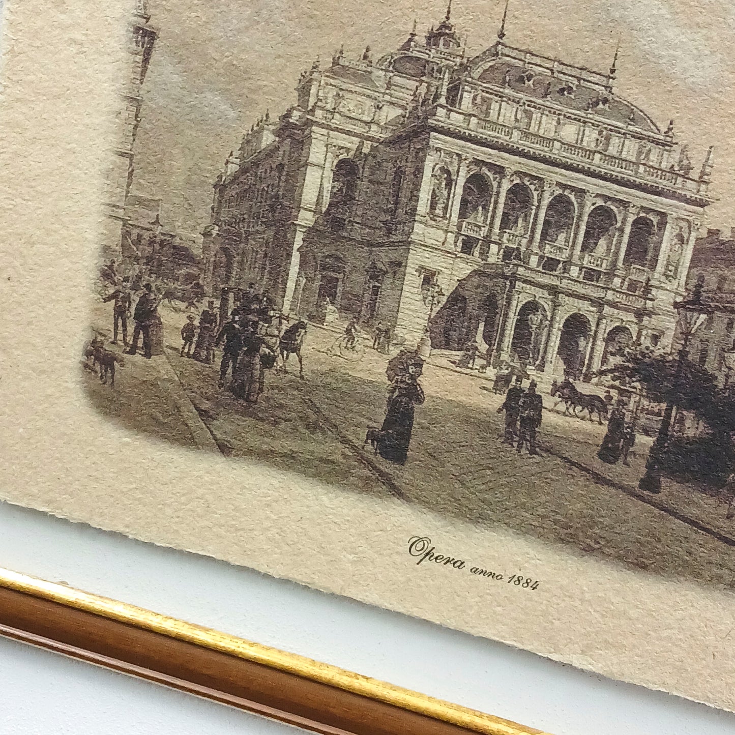 Opera anno 1884