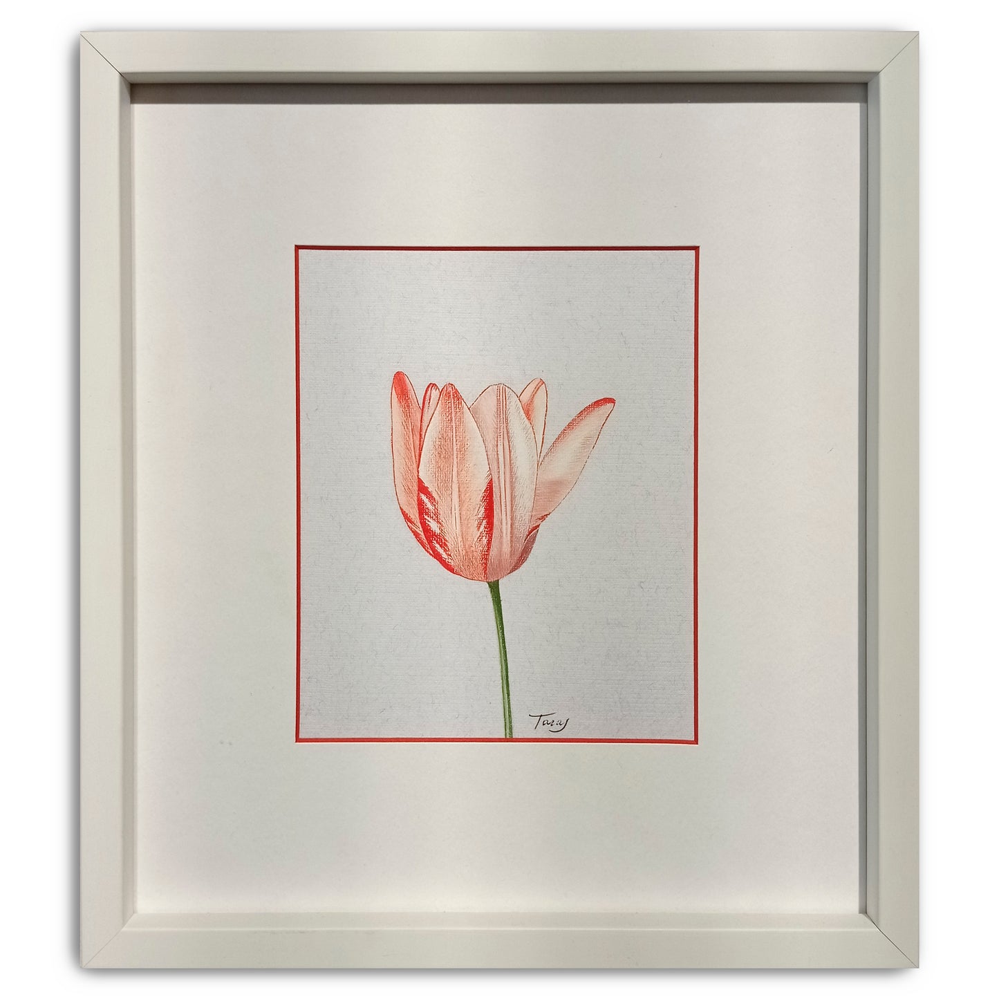 Victoria Taras, Tulip