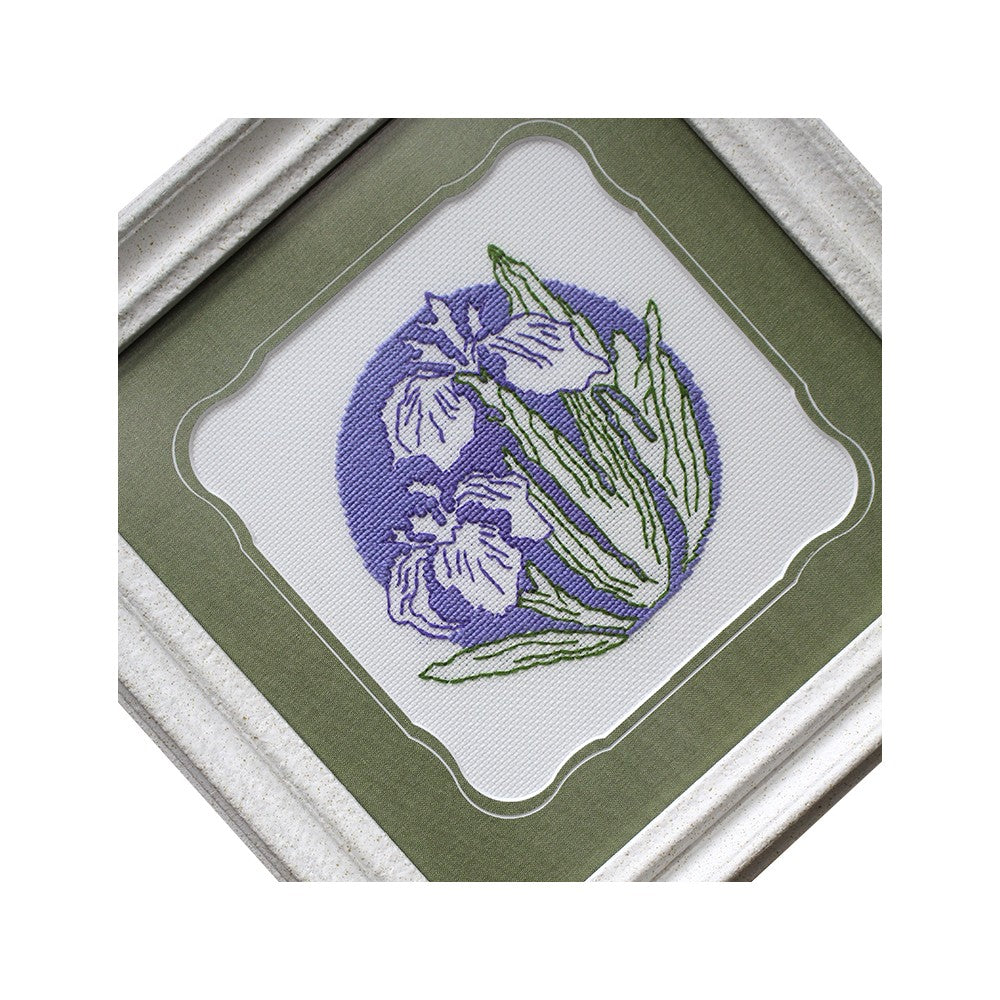 Broderie, Iriși