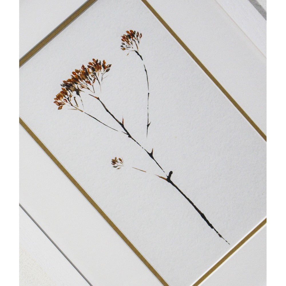 Rusu Daria, Crenguțe