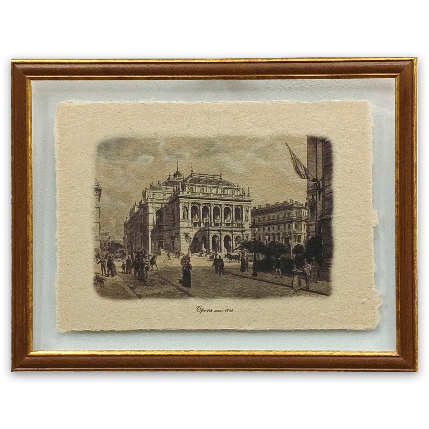 Opera anno 1884