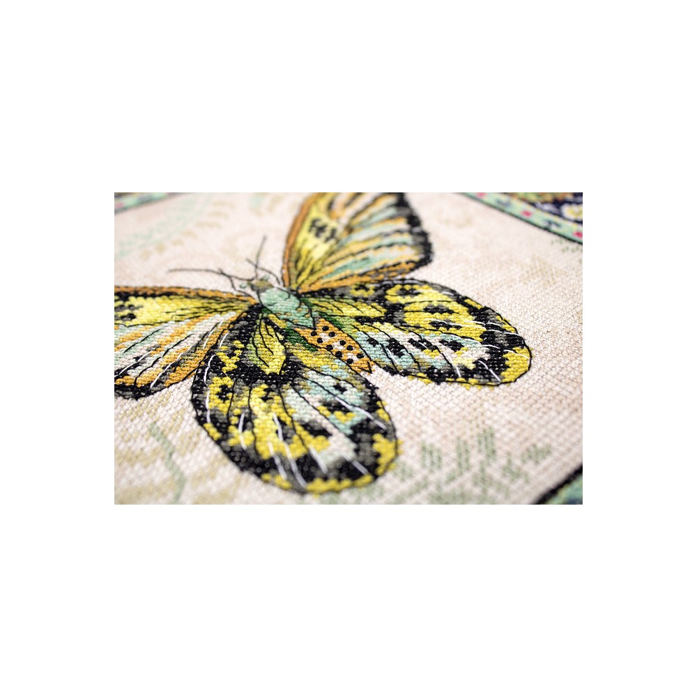Set broderie Vintage Butterfly